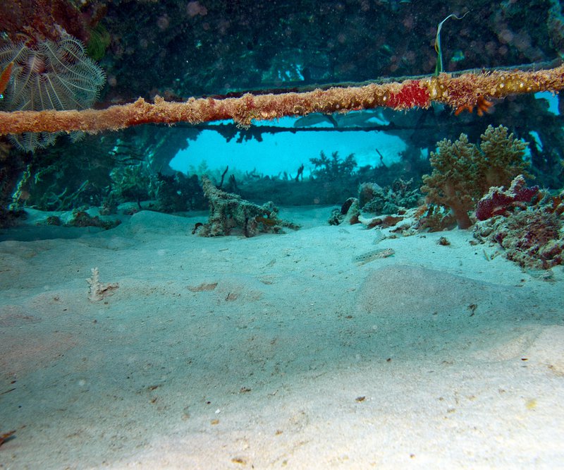 Home Reef